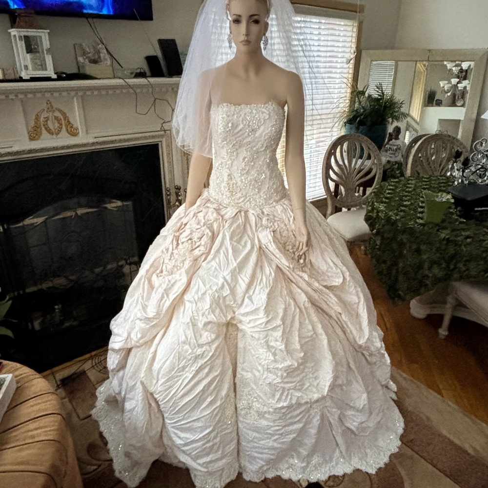 Princess custom preloved ball gown one of a kind.